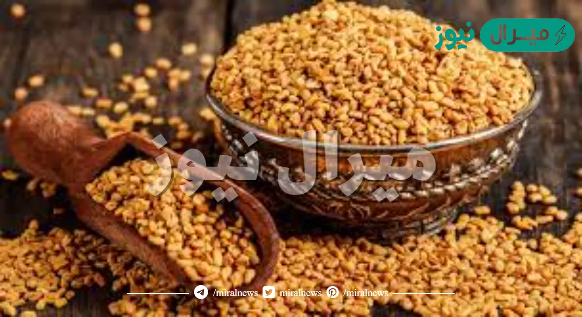 هل الحلبه تضر الحامل