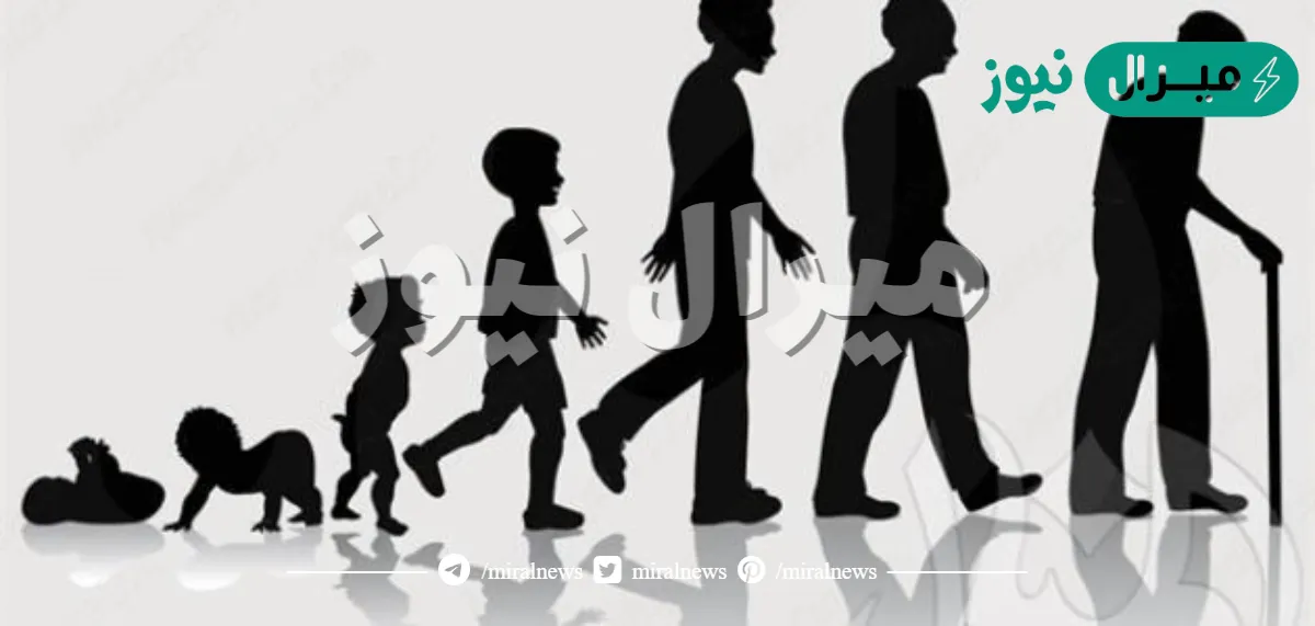 هل تتوقف عملية النمو في الانسان