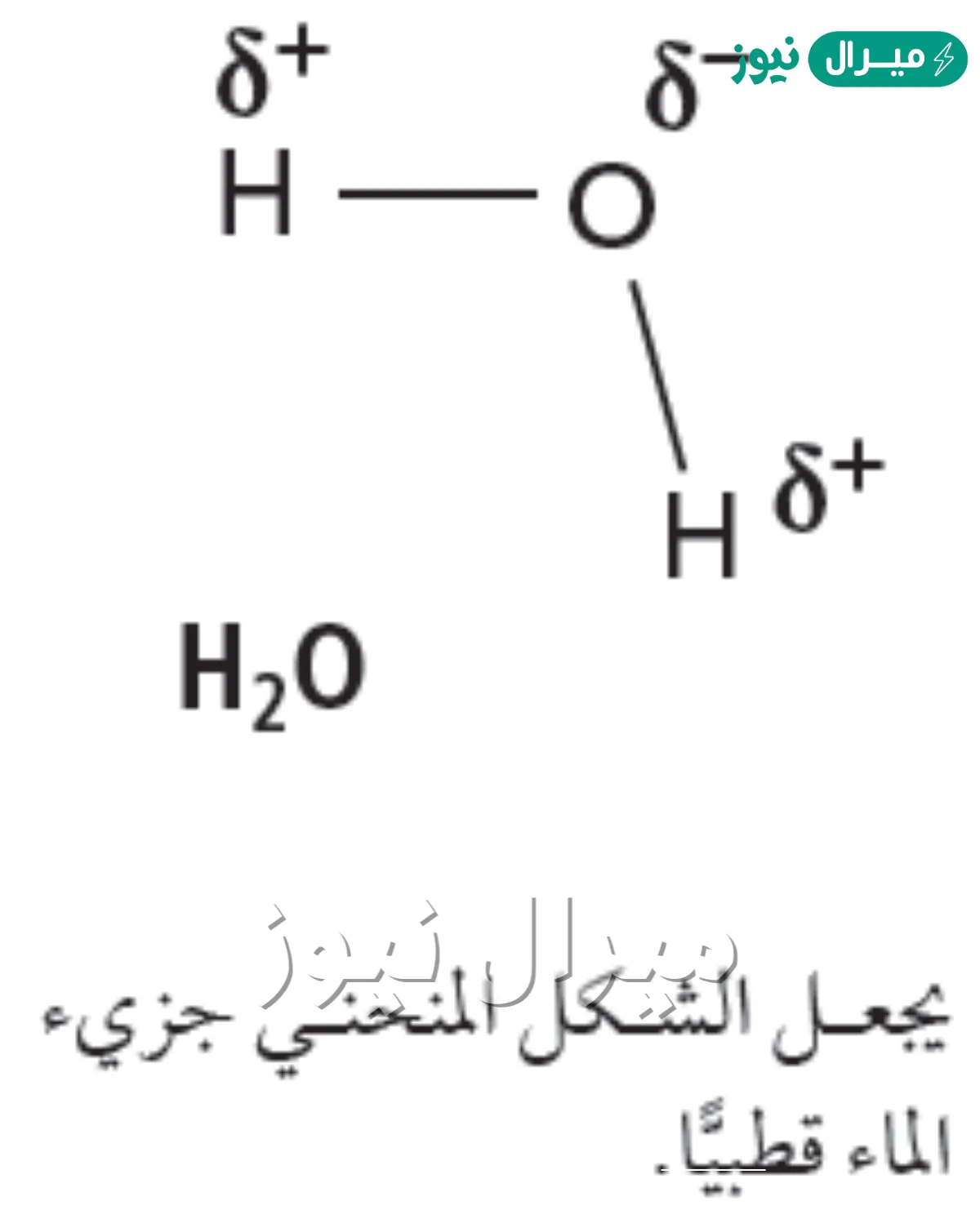 هل جزيء الماء قطبي