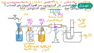 يصنف النيتروجين والأكسجين والكربون ضمن مجموعة