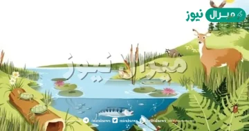 أي مما يأتي يعد من العوامل الحيوية