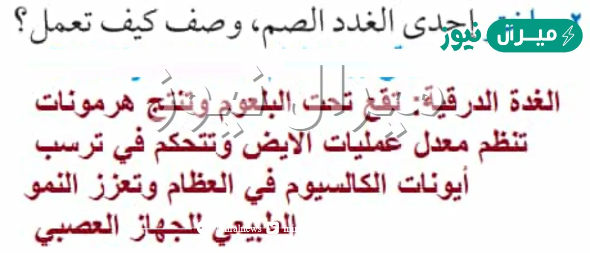 اختر احدى الغدد الصماء وصف كيف تعمل