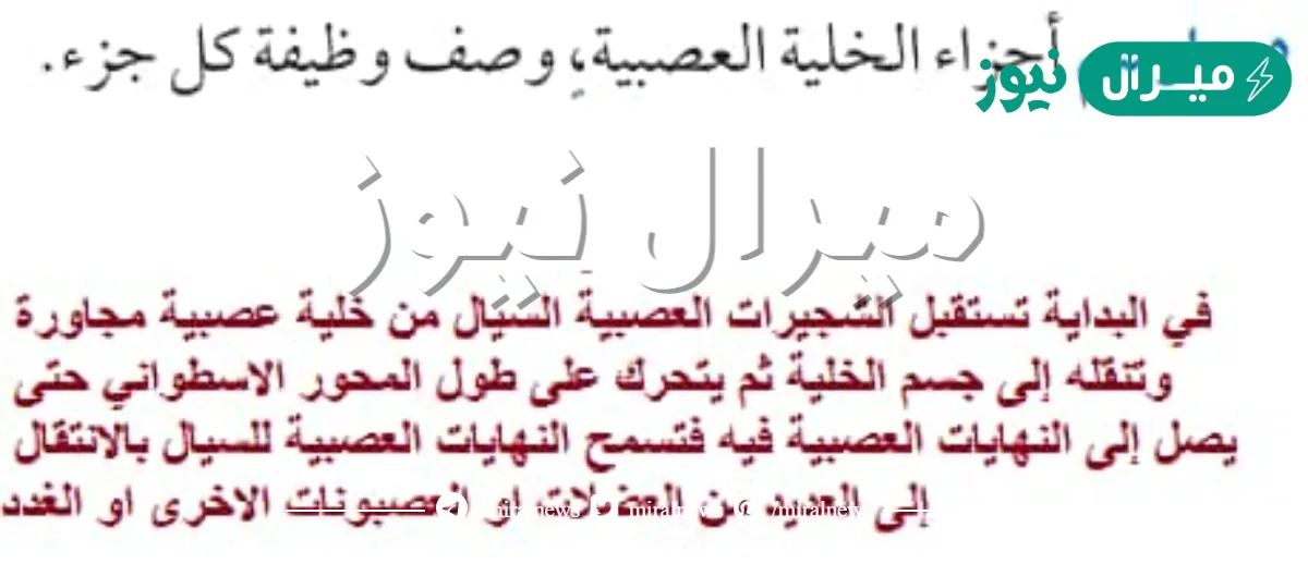 ارسم اجزاء الخلية العصبية وصف وظيفة كل جزء