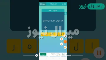 اكبر شريان في جسم الانسان