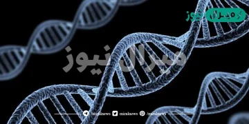 التركيب الموجود داخل النواة ويحمل المادة الوراثية