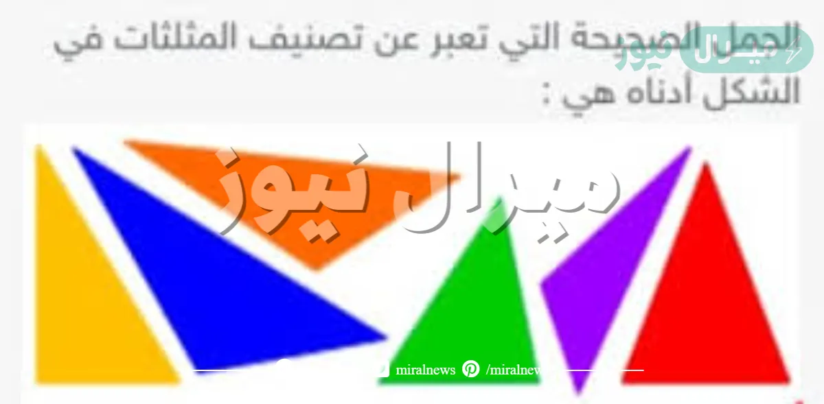الجمل الصحيحة التي تعبر عن تصنيف المثلثات في الشكل أدناه هي