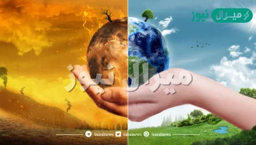 الحماية من الفيضانات وتزويد الجو بالأكسجين من النباتات يمثل قيمة إقتصادية مباشرة للتنوع الحيوي