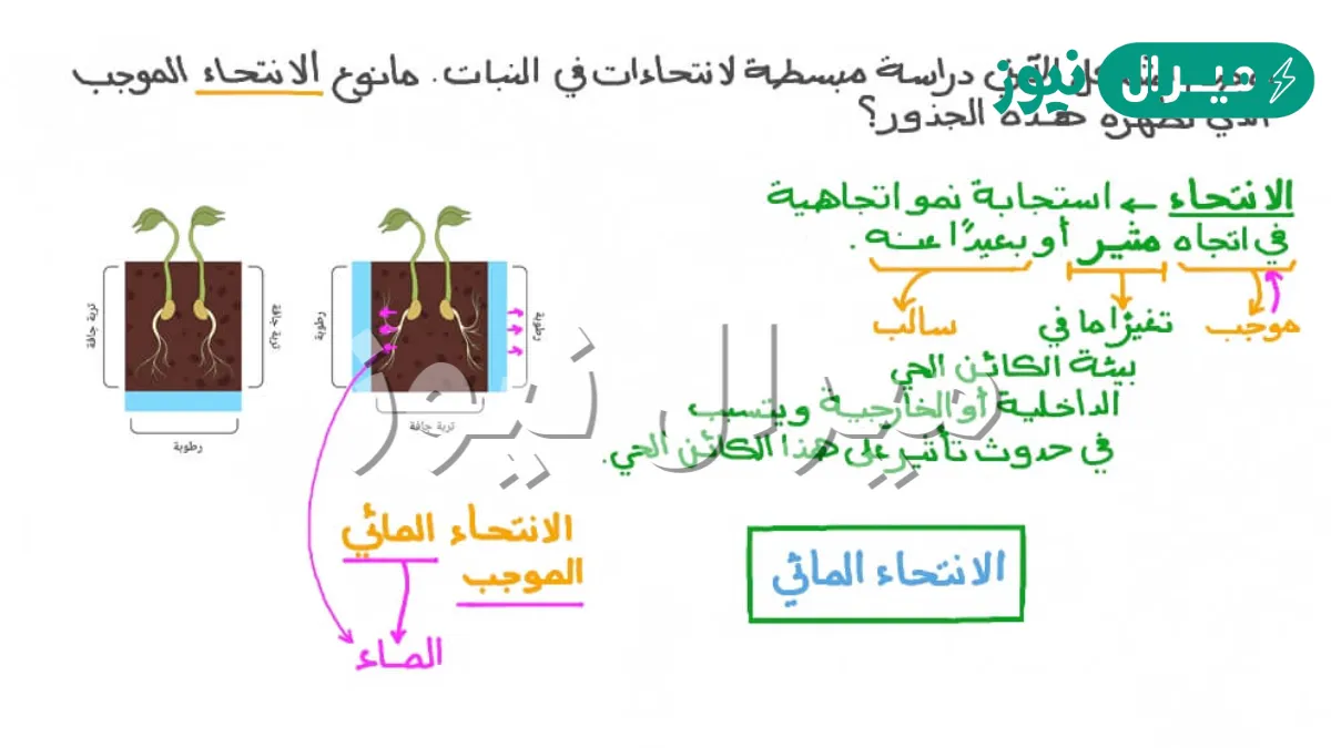 الذي يصف الانتحاء الضوئي الموجب