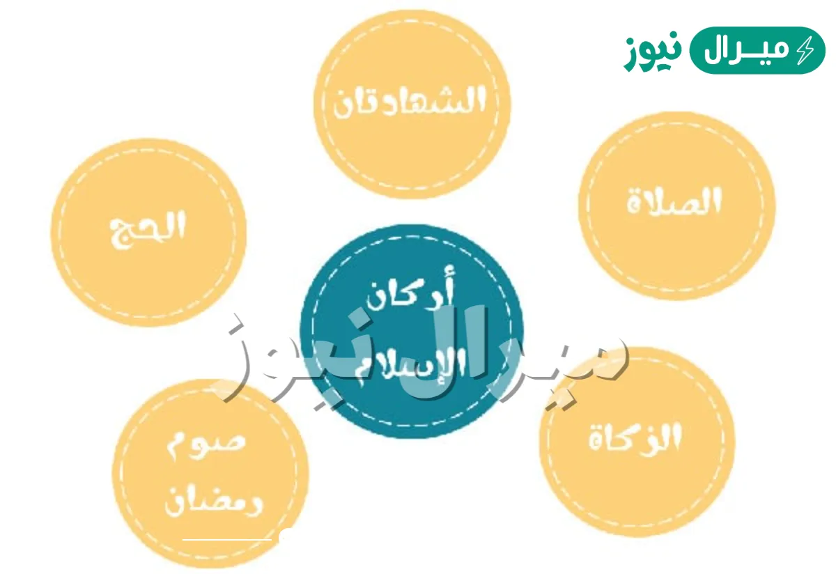 الزكاه هي الركن من اركان الاسلام