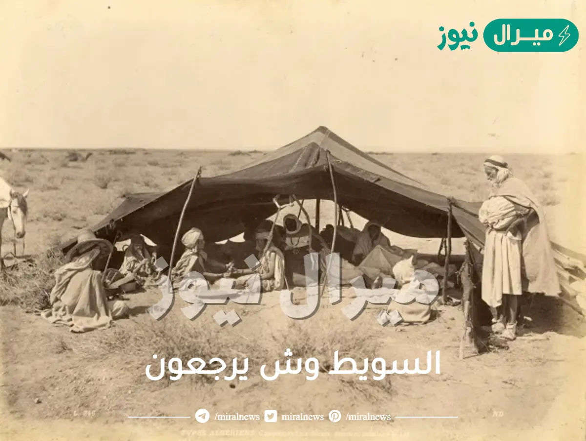 السويط وش يرجعون