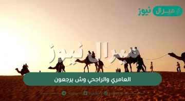 العامري والراجحي وش يرجعون