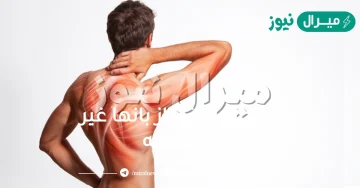 العضلات تمتاز بانها غير مخططه
