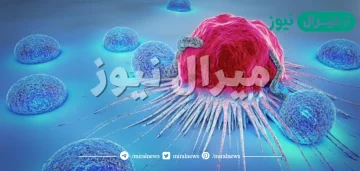 الفرق بين الاورام الحميدة والاورام الخبيثة