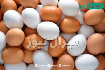 الفرق بين البيض الابيض والبني ؟