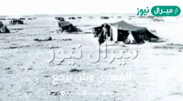 الفهادي وش يرجع