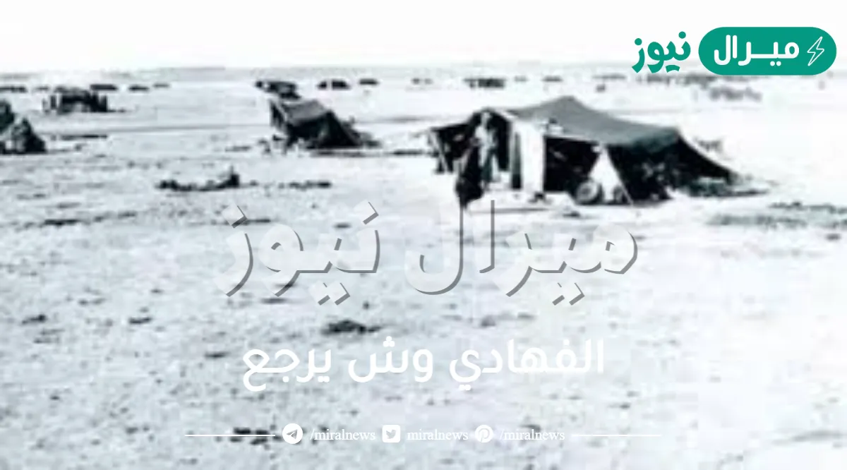 الفهادي وش يرجع