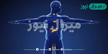 المادة الكيميائية التي تفرزها الغدد الصم