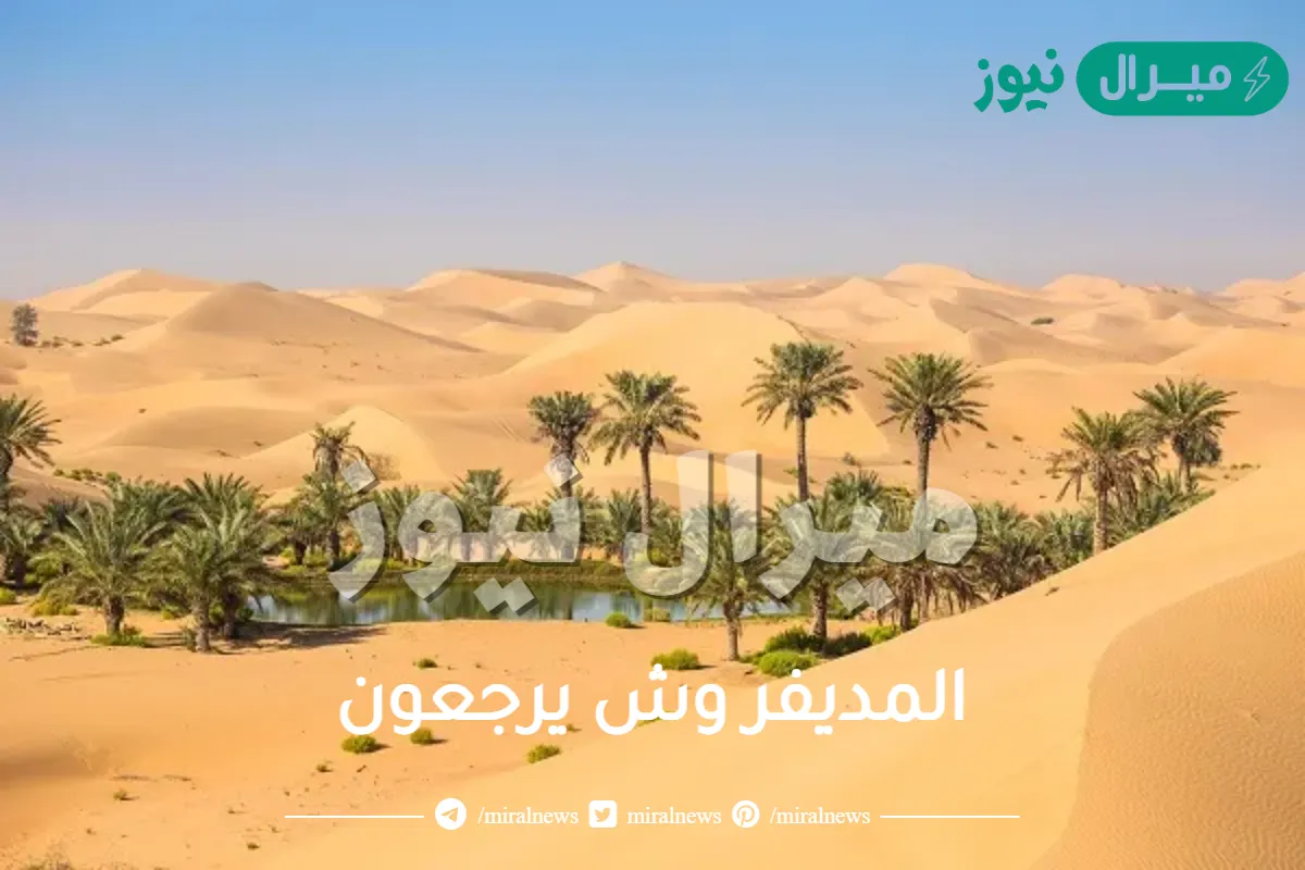 المديفر وش يرجعون