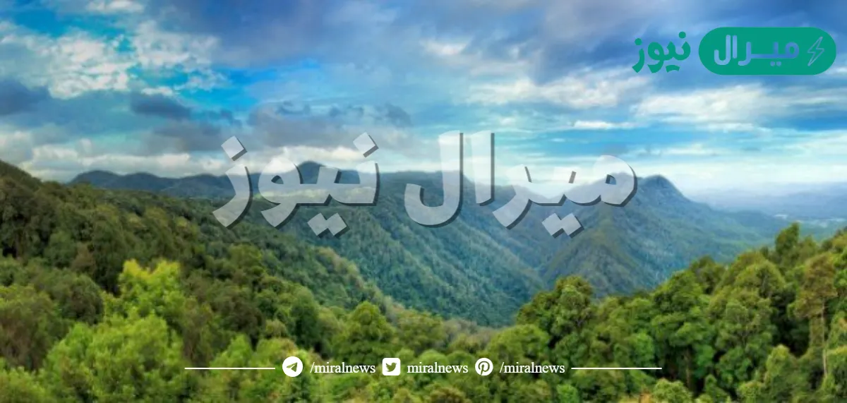 المناخ المداري الممطر هو