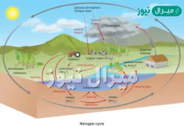 النيتروجين هو الغاز الاكثر توفرا في الغلاف الجوي للارض صح او خطا