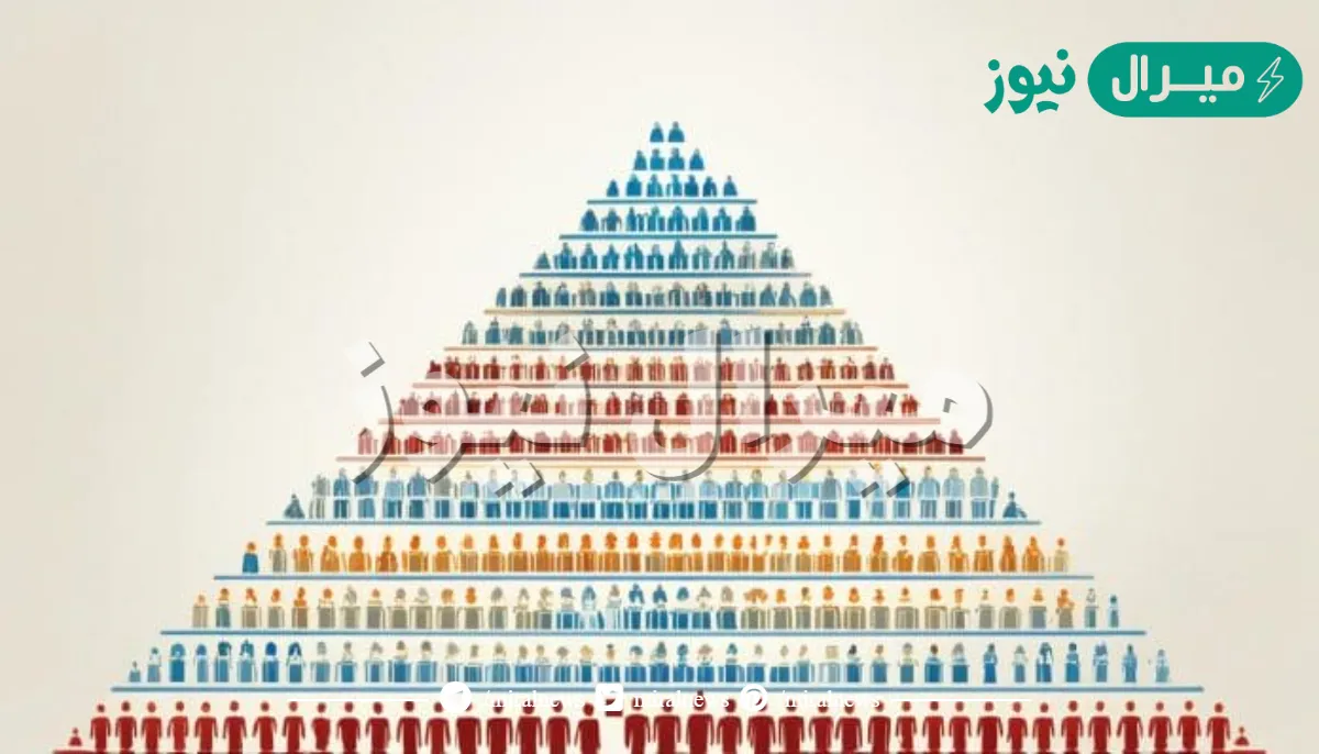 الهرم السكاني هو شكل