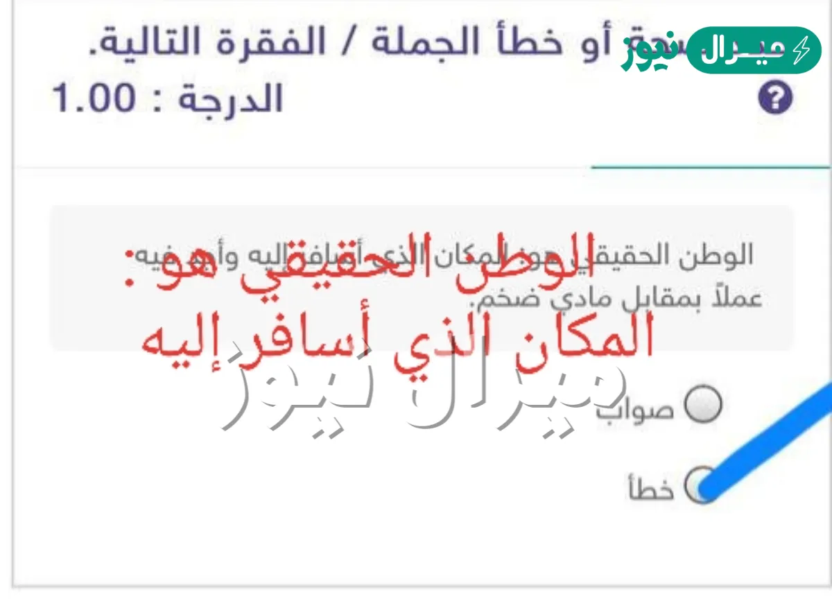الوطن الحقيقي هو المكان الذي أسافر إليه وأجد فيه عملاً بمقابل مادي ضخم