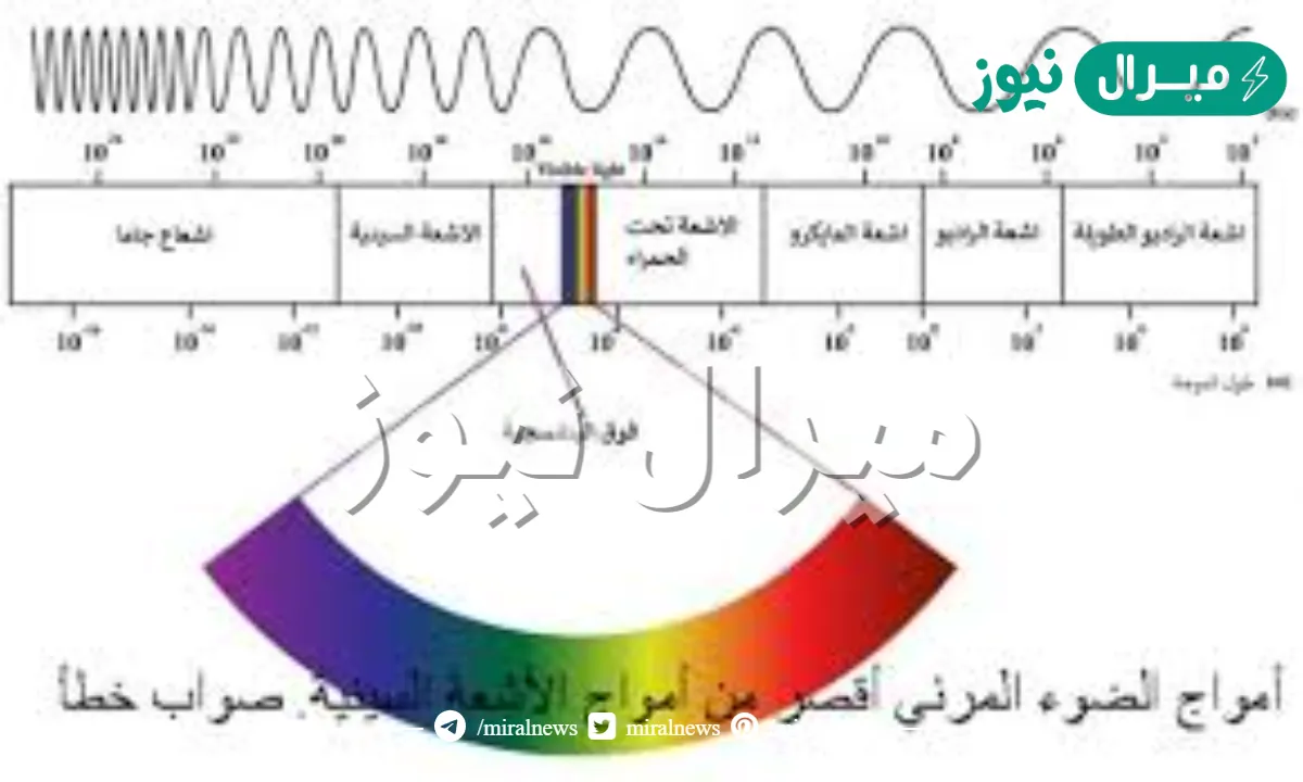 امواج الضوء المرئي اقصر من امواج الاشعه السينيه