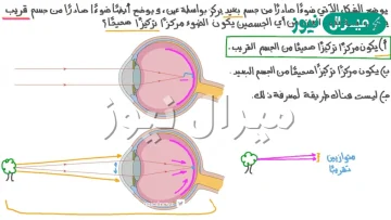 اين يتجمع الضوء في العين