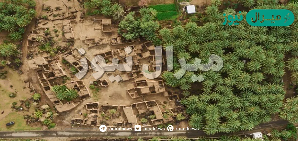 بيشه اين تقع