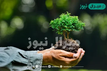 تحدد العوامل اللاحيوية مثل درجة الحرارة نوع المخلوقات الحية التي يمكن أن تعيش في مكان ما.