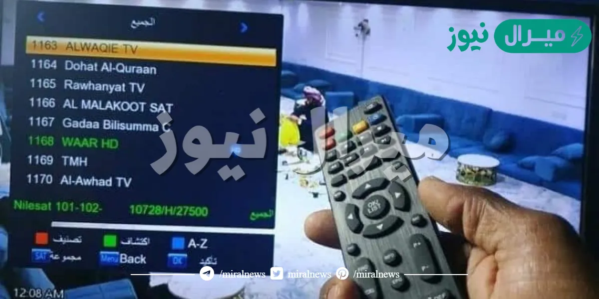 تردد قناة بيبي شانيل على النايل سات