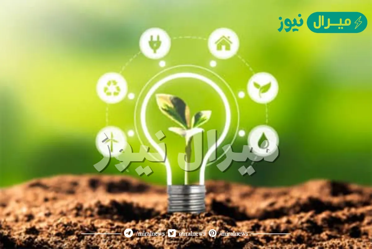 ترشيد الاستهلاك يعني