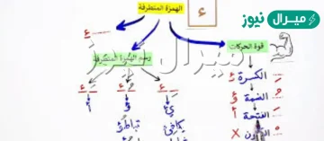 تشابه الهمزة المتطرفة في كثير من أحكامها