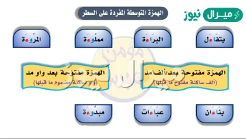 تكتب الهمزة المتوسطة المفردة على السطر