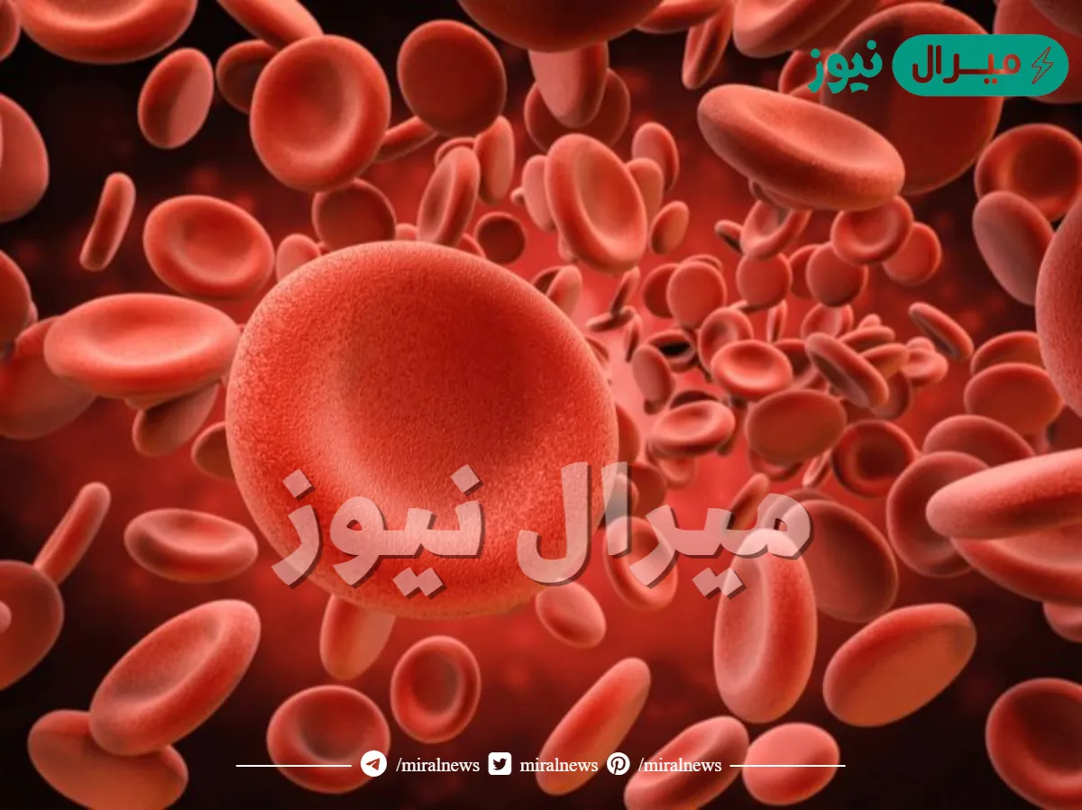 تنتج خلايا الدم الحمراء
