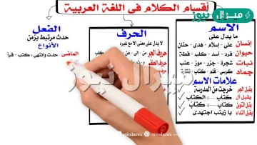 تنقسم الكلمة إلى