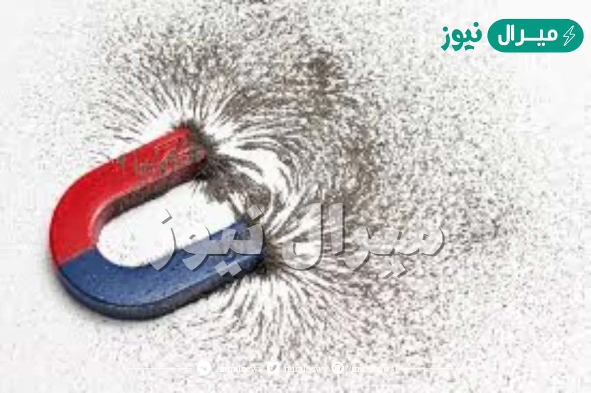 جميع المغانط لها