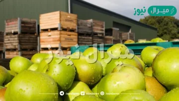 حجم صندوق التفاح الذي طوله ٥ وحدات و عرضه وحدتان و ارتفاعه ٣ وحدات ، يساوي بالوحدات المكعبة