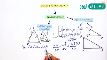 حل درس المثلثات المتشابهة اول ثانوي