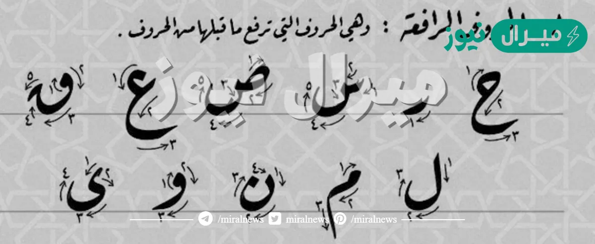 خط الرقعة كل حروفه ترتكز على السطر.