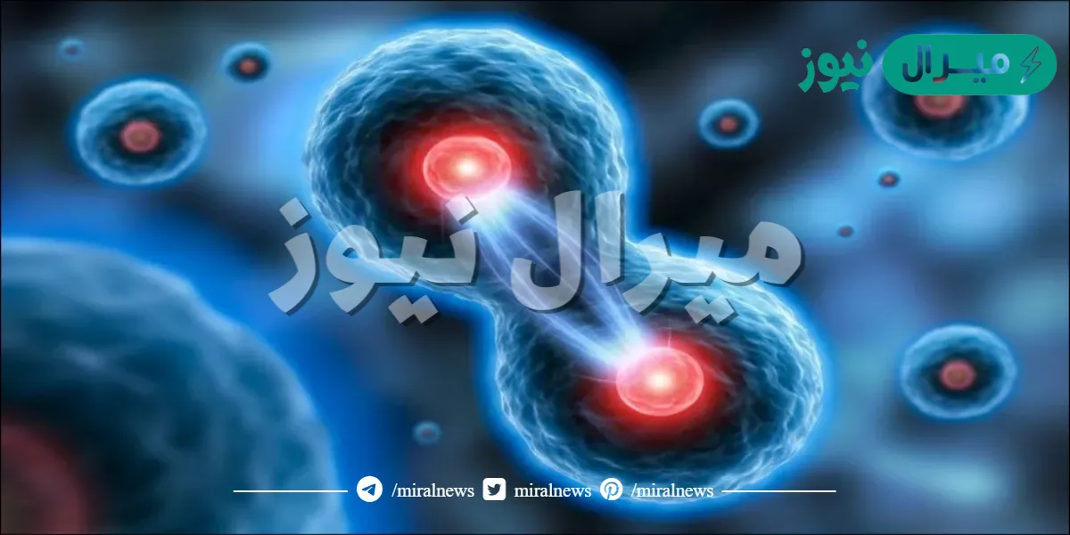 خلال عملية الانقسام الخلوي تحتوي كل خلايا جسم الإنسان على