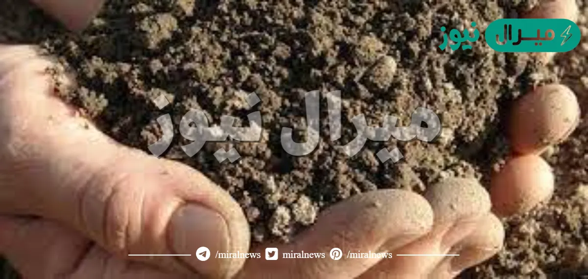 خليط من فتات الصخور واجزاء نباتات ومخلوقات ميته