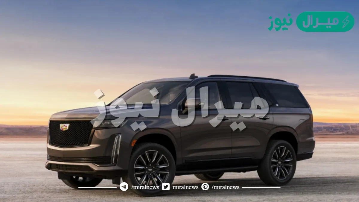 سعر كدلك اسكاليد