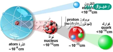 صف تركيب الذرة وحدد موقع كل جسيم فيها ؟