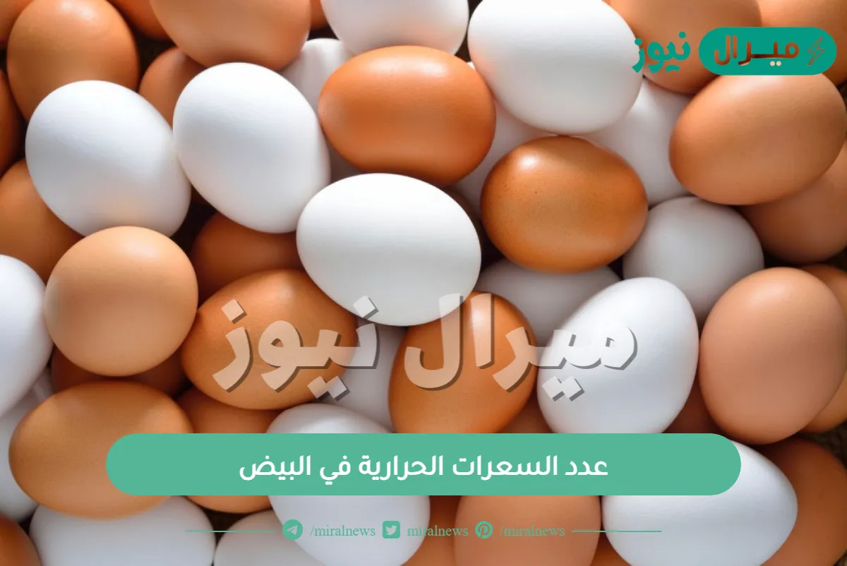 عدد السعرات الحرارية في البيض