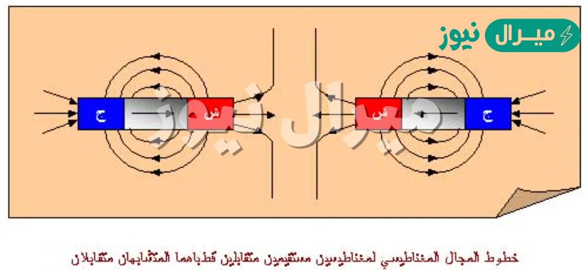 عدد خطوط المجال المغناطيسي