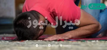 عدد سجدات سجود السهو