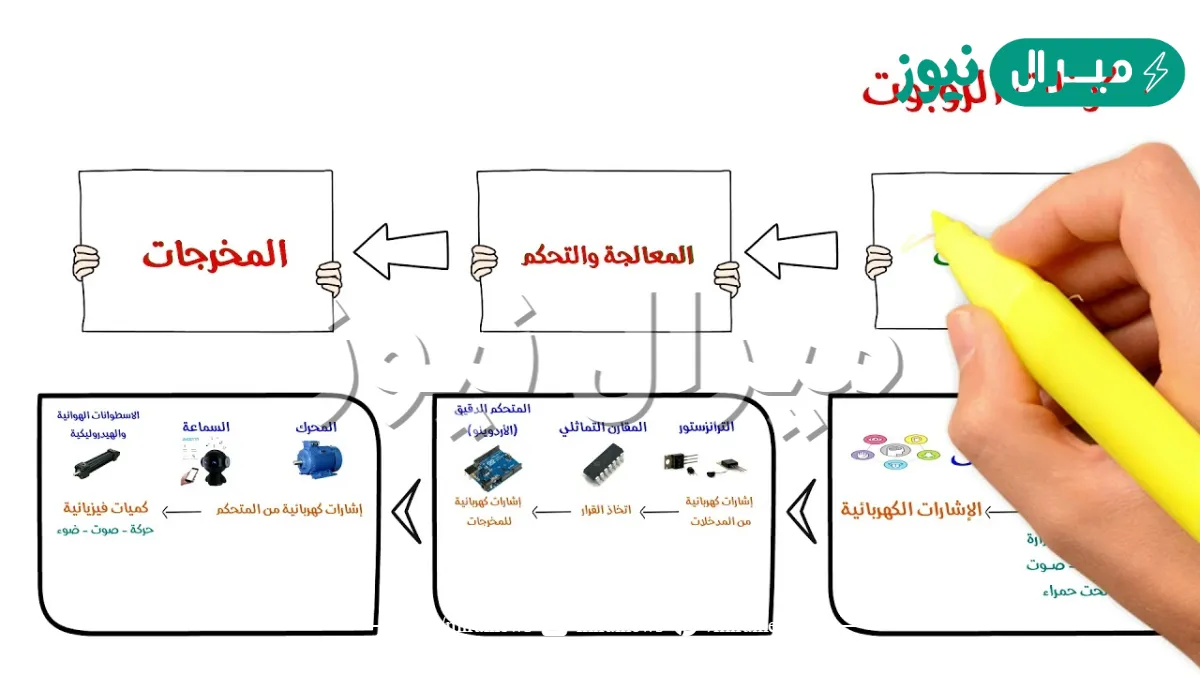 عدد مكونات الروبوت التعليمي