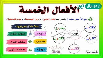 علامة رفع الافعال الخمسة