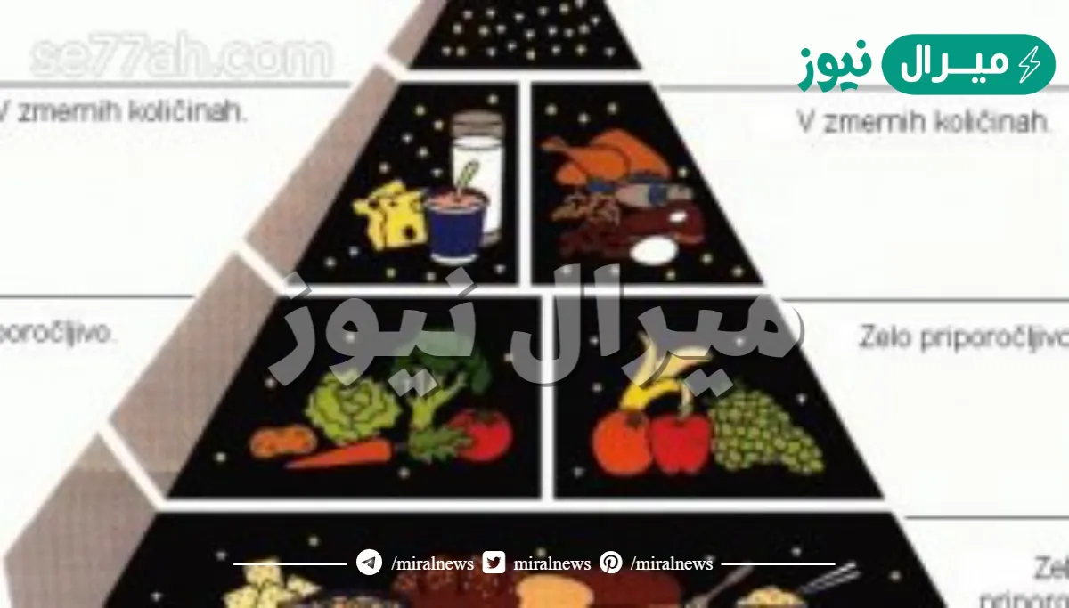 على ماذا يدل وجود الدهون والسكريات في قمة النخلة الغذائية ؟